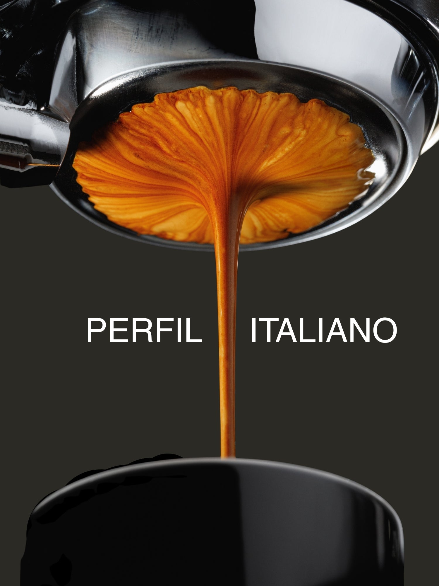 Perfil italiano